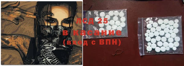 прущие грибы Алексеевка