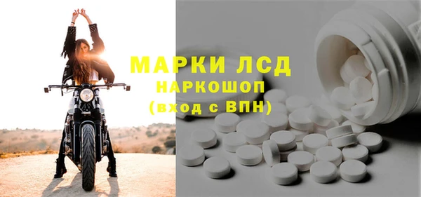 стафф Алзамай