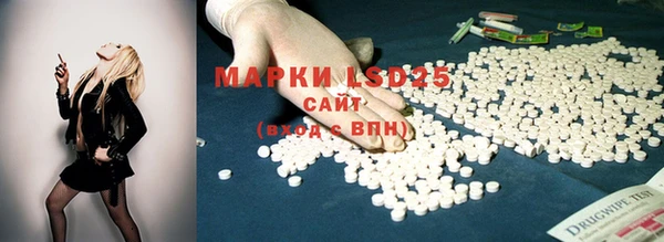 spice Алексин