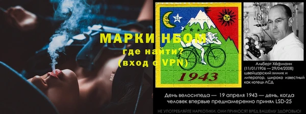 прущие грибы Алексеевка