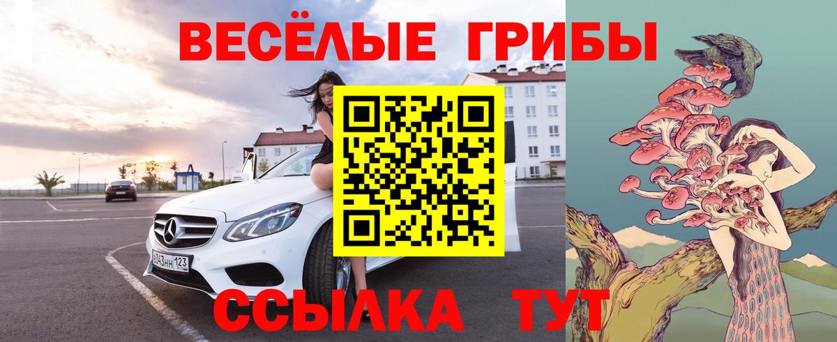 Галлюциногенные грибы Psilocybine cubensis  Вход с VPN  Псилоцибиновые грибы Psilocybe  Качканар 