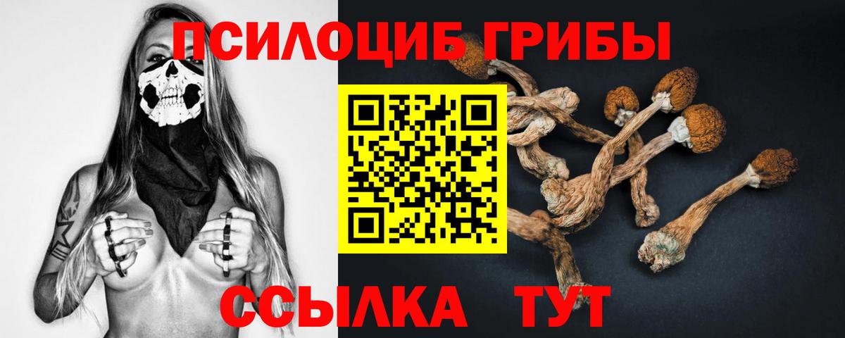 Псилоцибиновые грибы Psilocybe Качканар