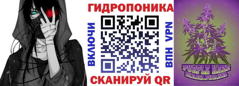 mega как зайти  Качканар  Каннабис гибрид  купить наркотик 